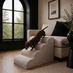 The Henley Doxie Stairs