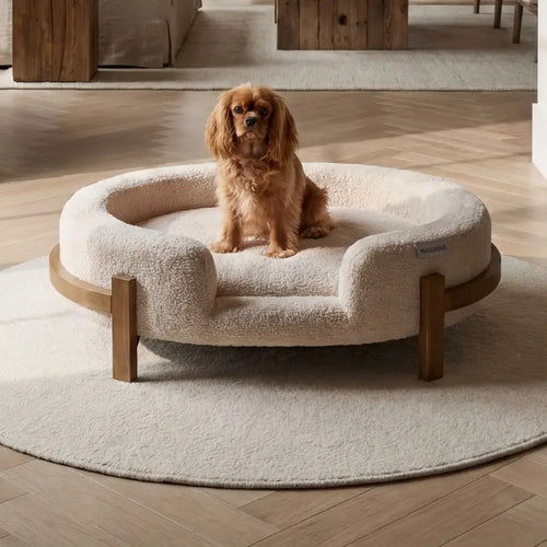 The Chic Henley Dog Bed in Sandstone, with a cavalier sitting in the nest