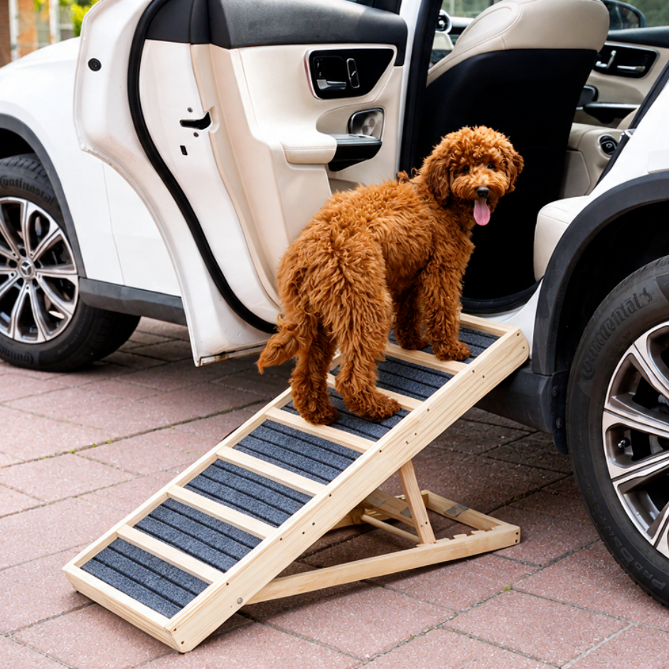 The Premium Henley Dog Ramp