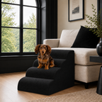 4-step Henley Doxie Stairs in black beside a cream sofa, a dachshund sitting on the top step [dachshund]