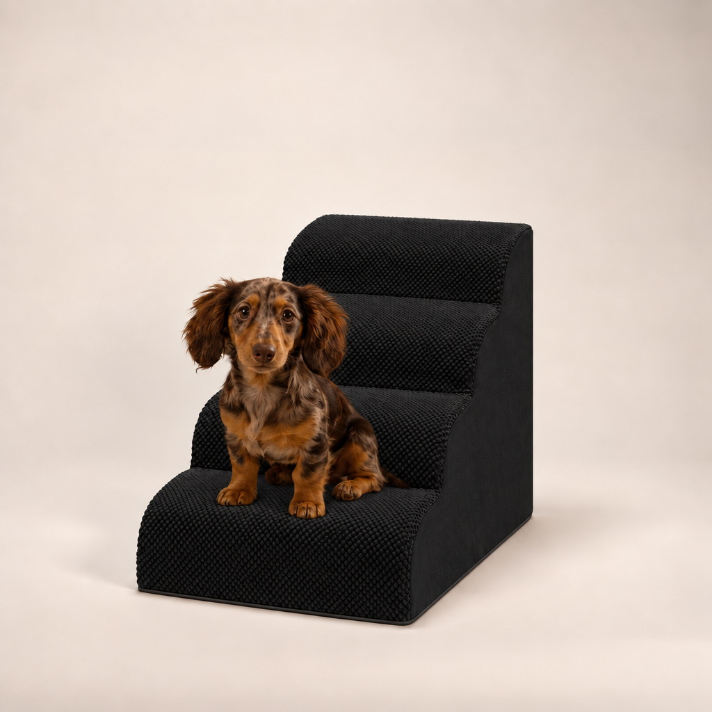 4-step Henley Doxie Stairs in black, studio shot with a dapple dachshund sitting on the bottom step [dachshund]
