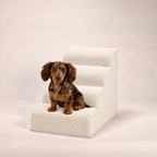 4-step Henley Doxie Stairs in ivory, studio shot with a dapple dachshund sitting on the second step [dachshund]