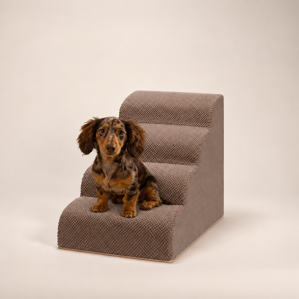 4-step Henley Doxie Stairs in taupe, studio shot with a dapple dachshund sitting on the bottom step [dachshund]