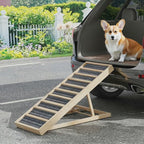 Dog using the Henley ramp at the car