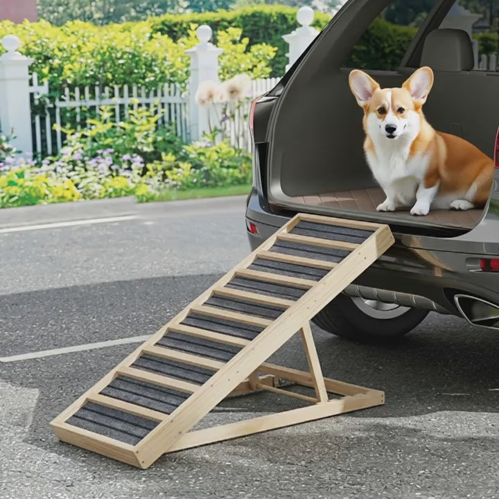 Dog using the Henley ramp at the car