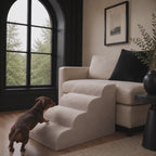 A dachshund walks down the four-step Henley Doxie Stairs from a cream sofa
