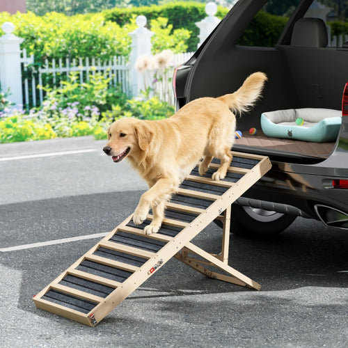 A golden retriever walking down the BIG 55 inch Henley and Bone ramp out of an SUV