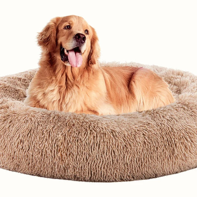 Roomy for big dogs too
