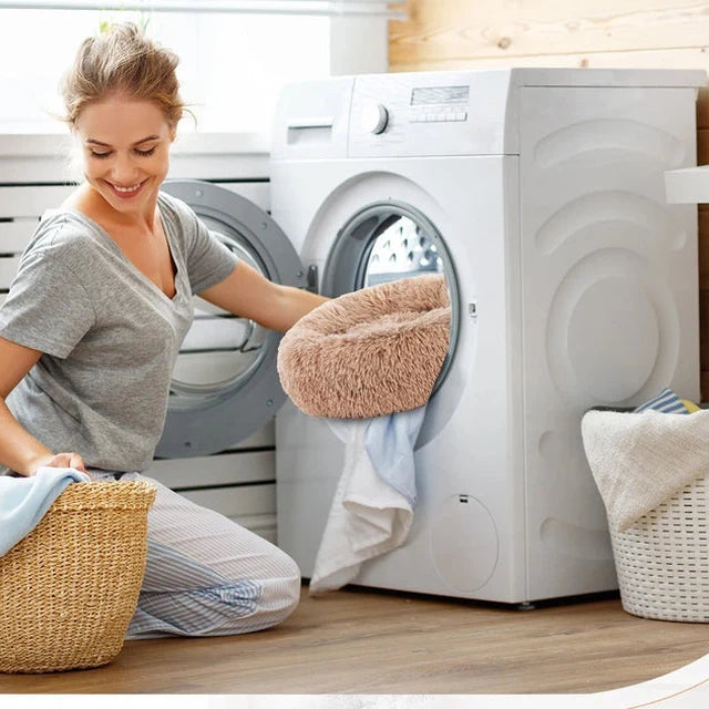 Putting the dog bed into the washing machine